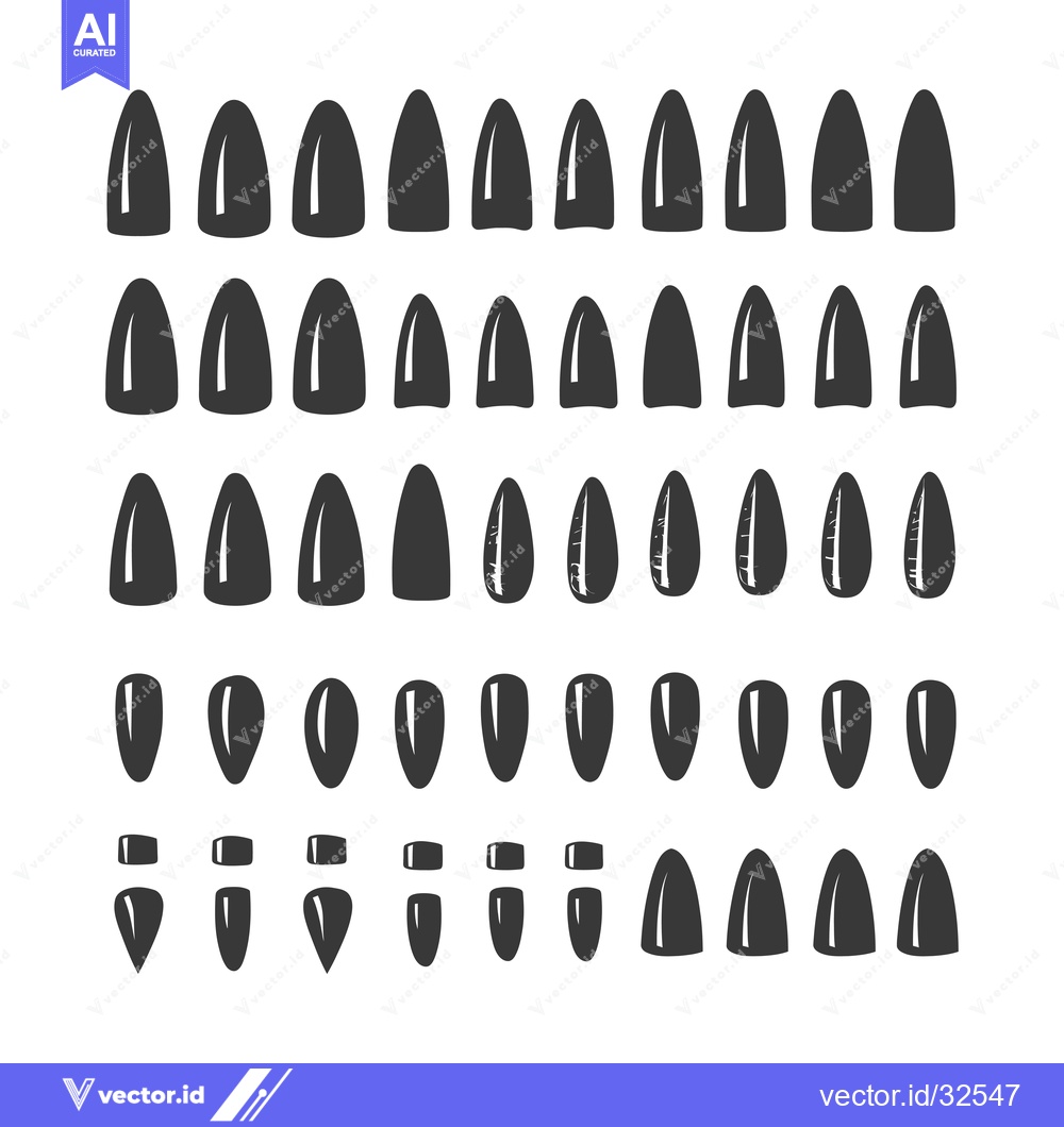 Premium Vector dari Collection of Black and White Sunflower Seeds in Various Shapes and Si