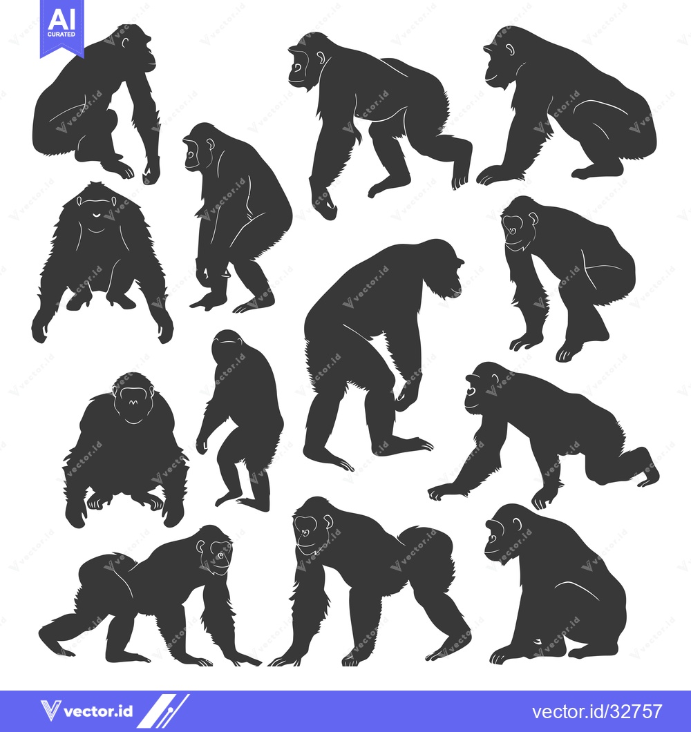Premium Vector of Collection of Chimpanzee Silhouettes in Various Poses
