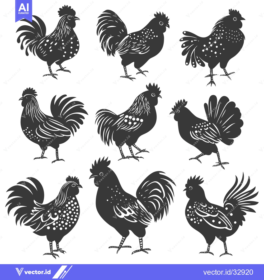 Premium Vector of Collection of Detailed Black Rooster Silhouettes