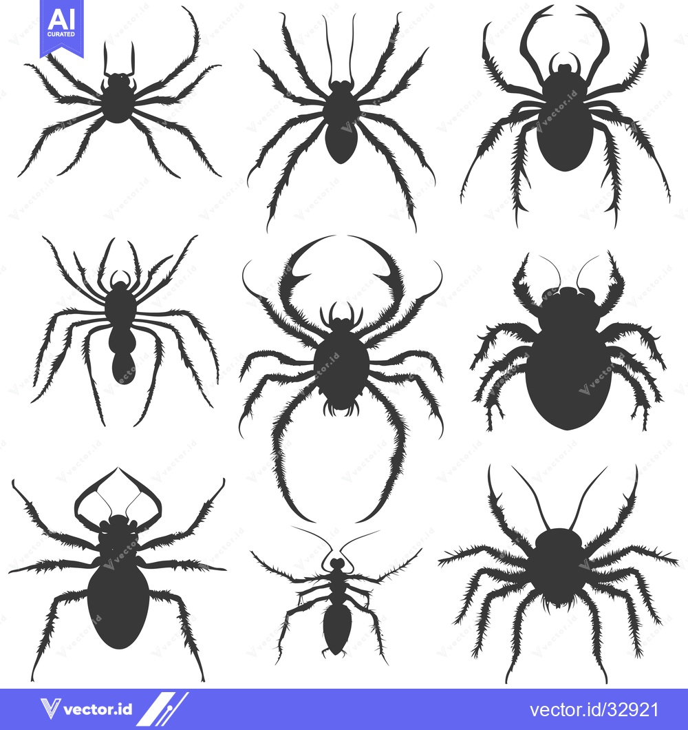 Premium Vector dari Collection of Detailed Black Spider Silhouettes