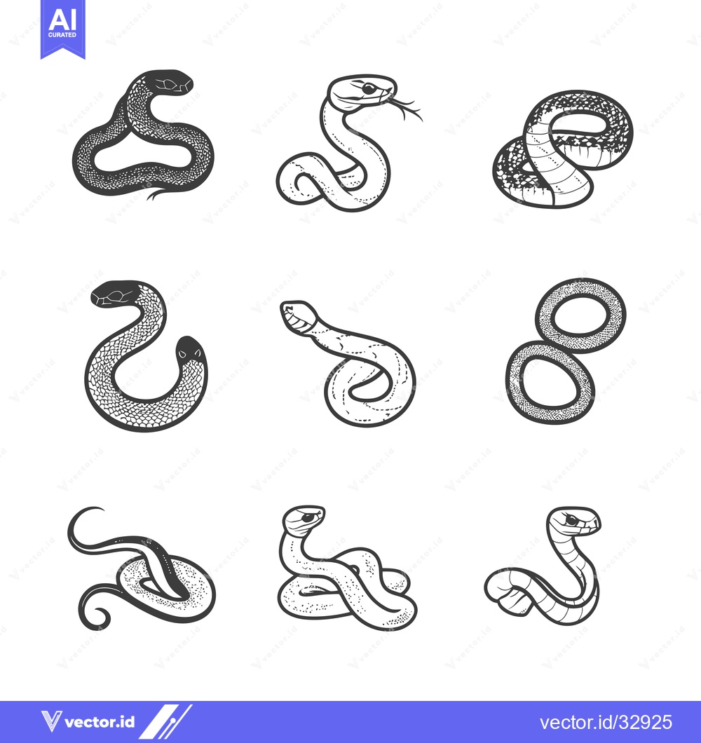 Premium Vector dari Collection of Detailed Hand Drawn Snake Illustrations