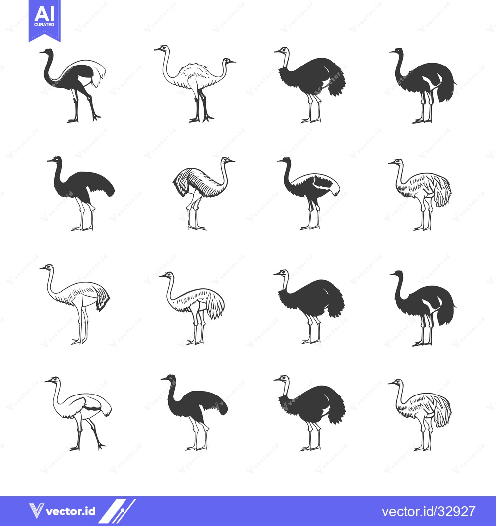 Premium Vector of Collection of Detailed Ostrich Silhouettes in Various Poses