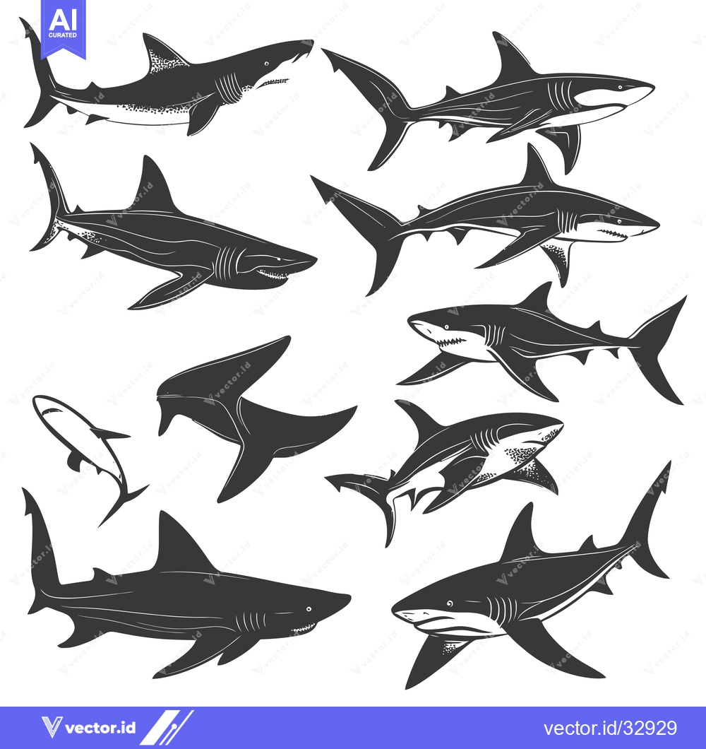 Premium Vector of Collection of Detailed Shark Silhouettes in Various Poses