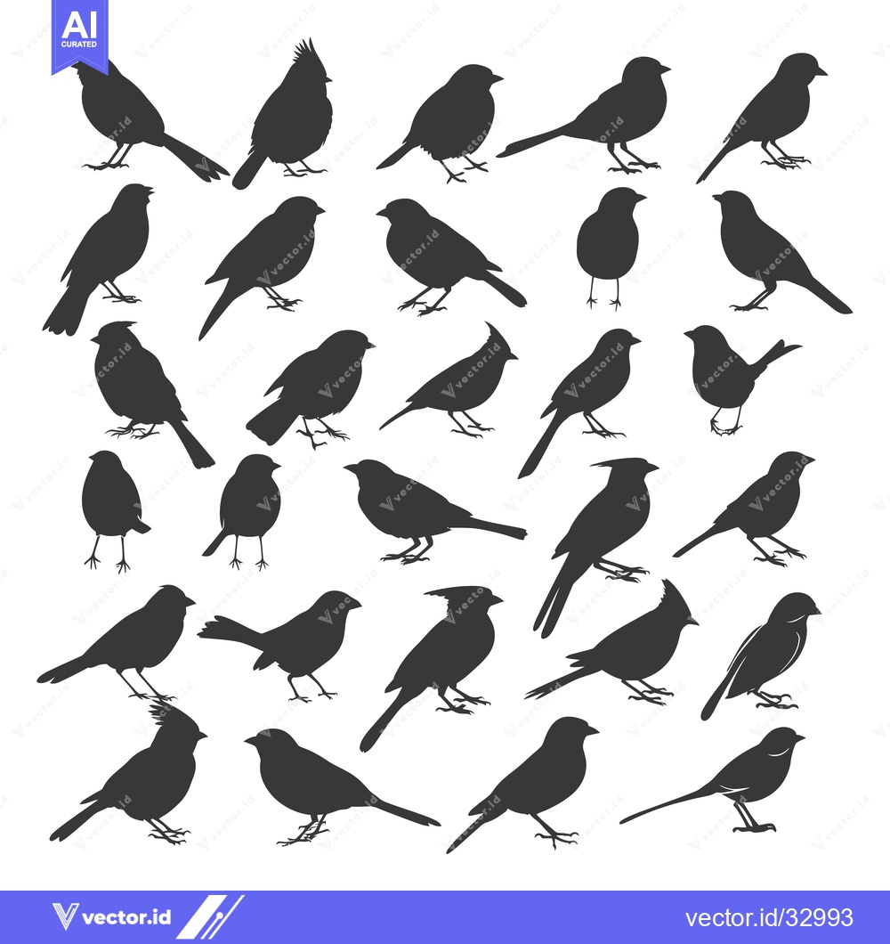 Premium Vector of Collection of Diverse Bird Silhouettes in Black and White