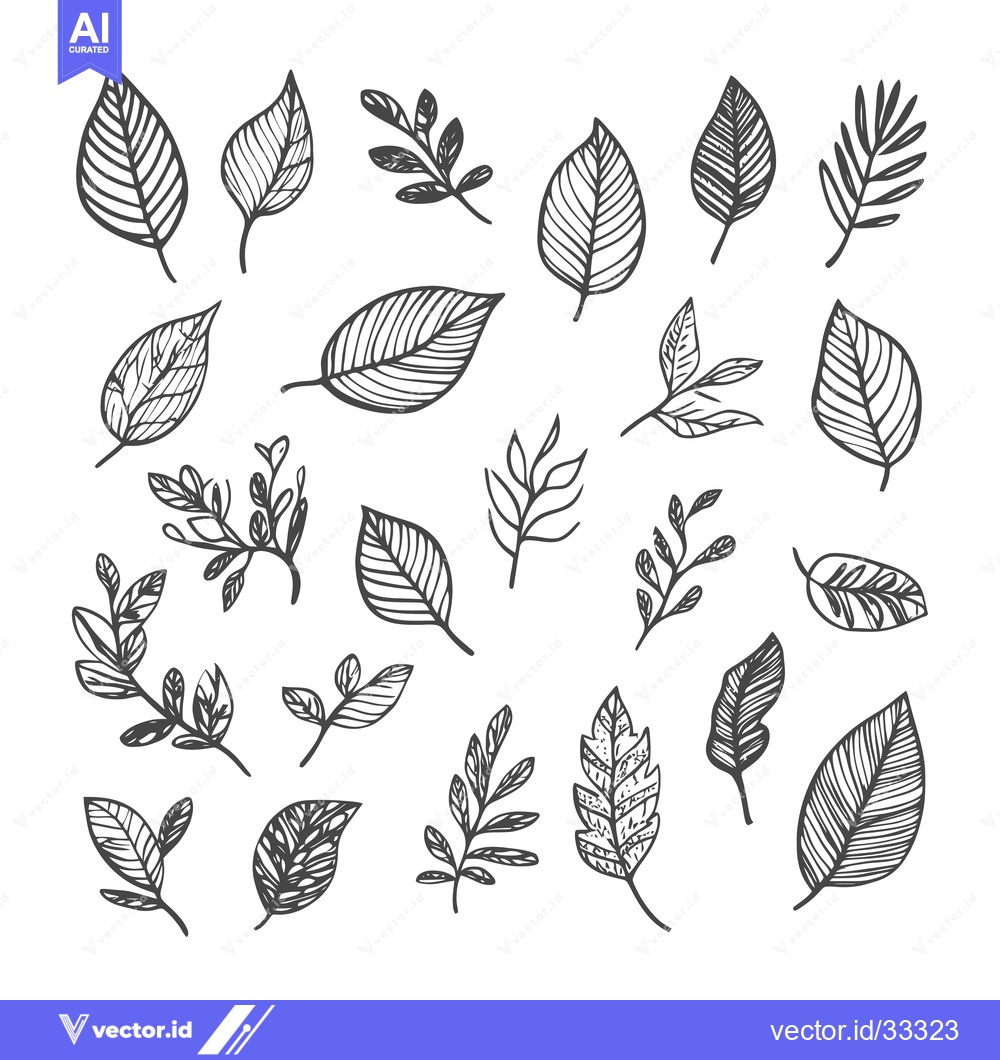 Premium Vector dari Collection of Hand-Drawn Black and White Leaf Illustrations