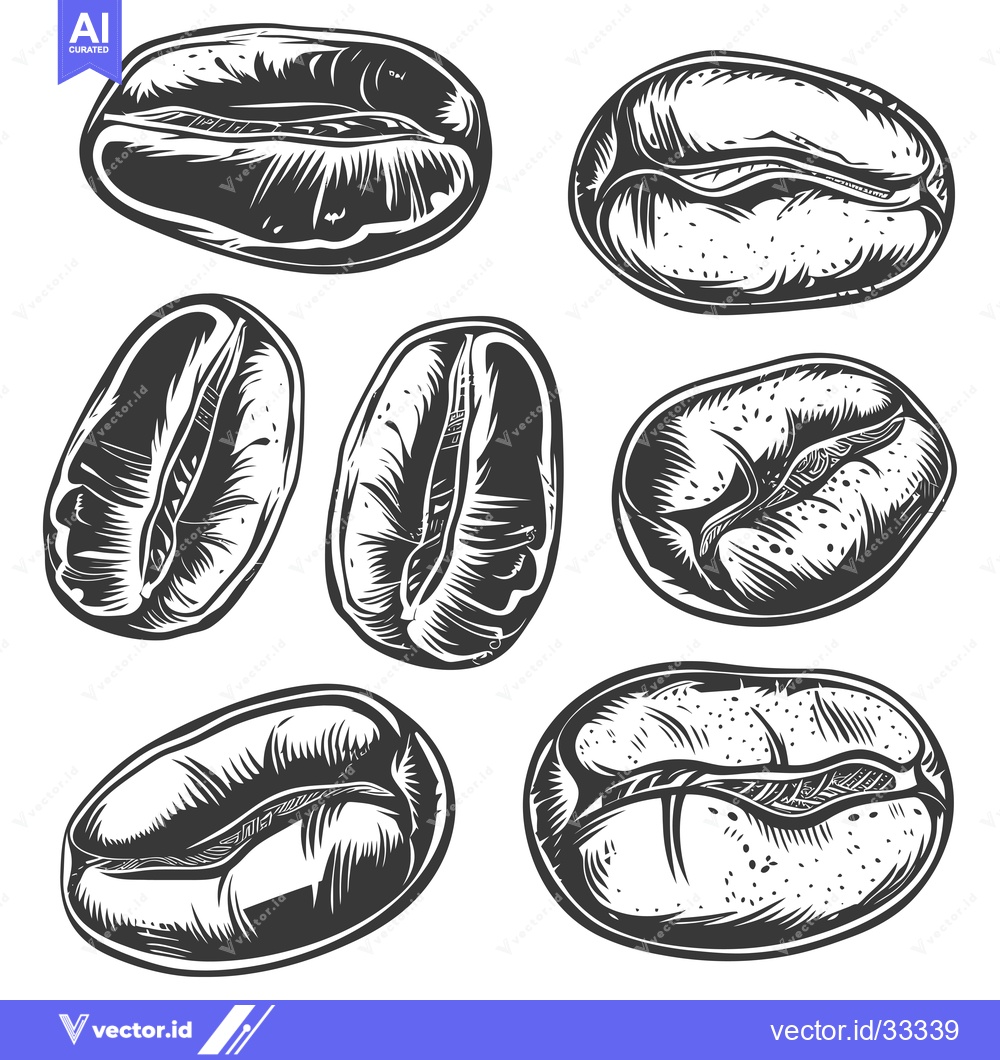 Premium Vector of Collection of Hand-Drawn Coffee Beans in Black and White