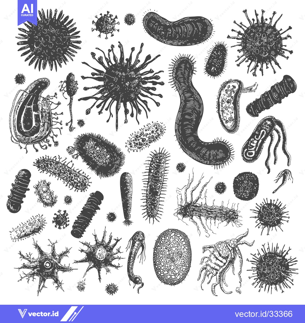 Premium Vector dari Collection of Hand-Drawn Microorganisms and Bacteria