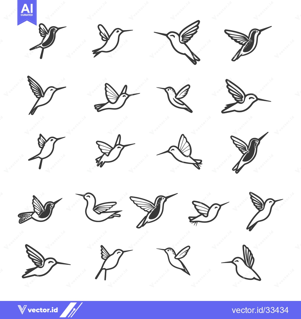Premium Vector dari Collection of Hummingbird Illustrations in Flight