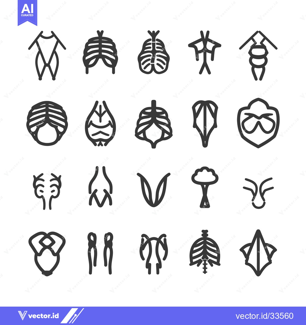 Premium Vector of Collection of Line Drawings of Anatomical Structures