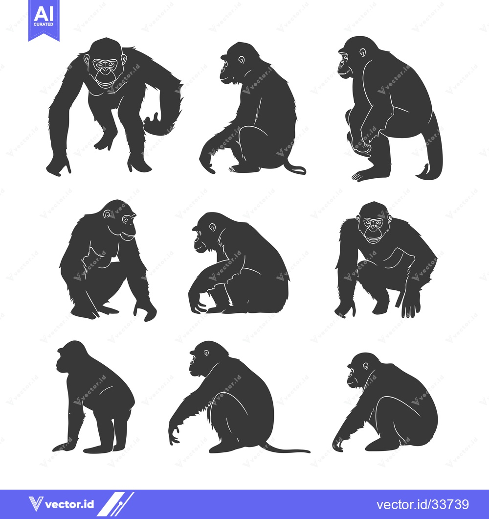 Premium Vector dari Collection of Nine Black Silhouettes of Chimpanzees in Various Poses