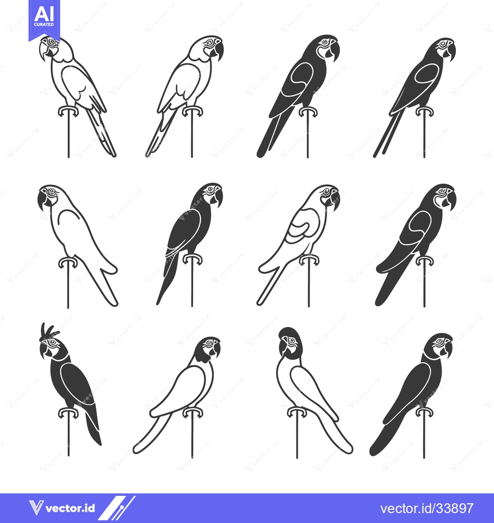 Premium Vector dari Collection of Parrot Illustrations in Black and White