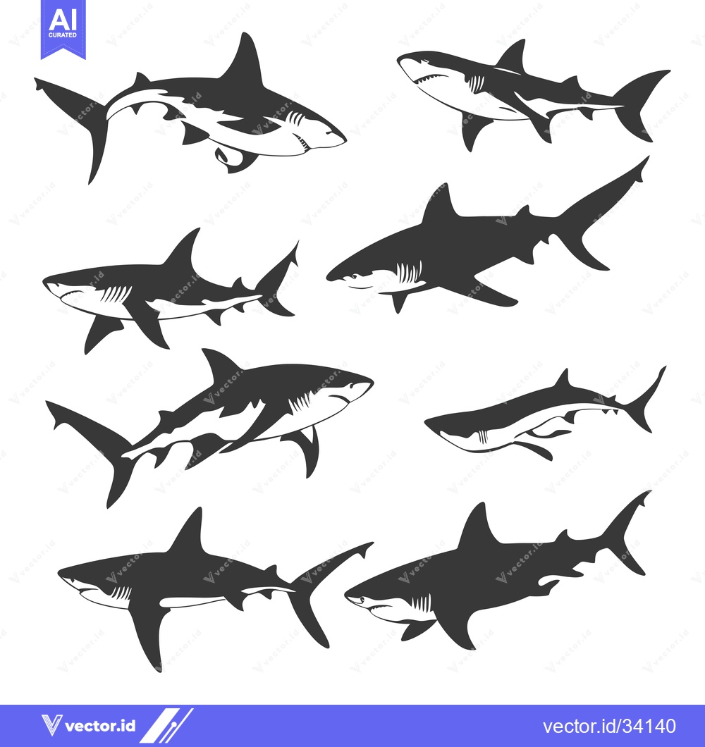 Premium Vector of Collection of Shark Silhouettes in Black and White