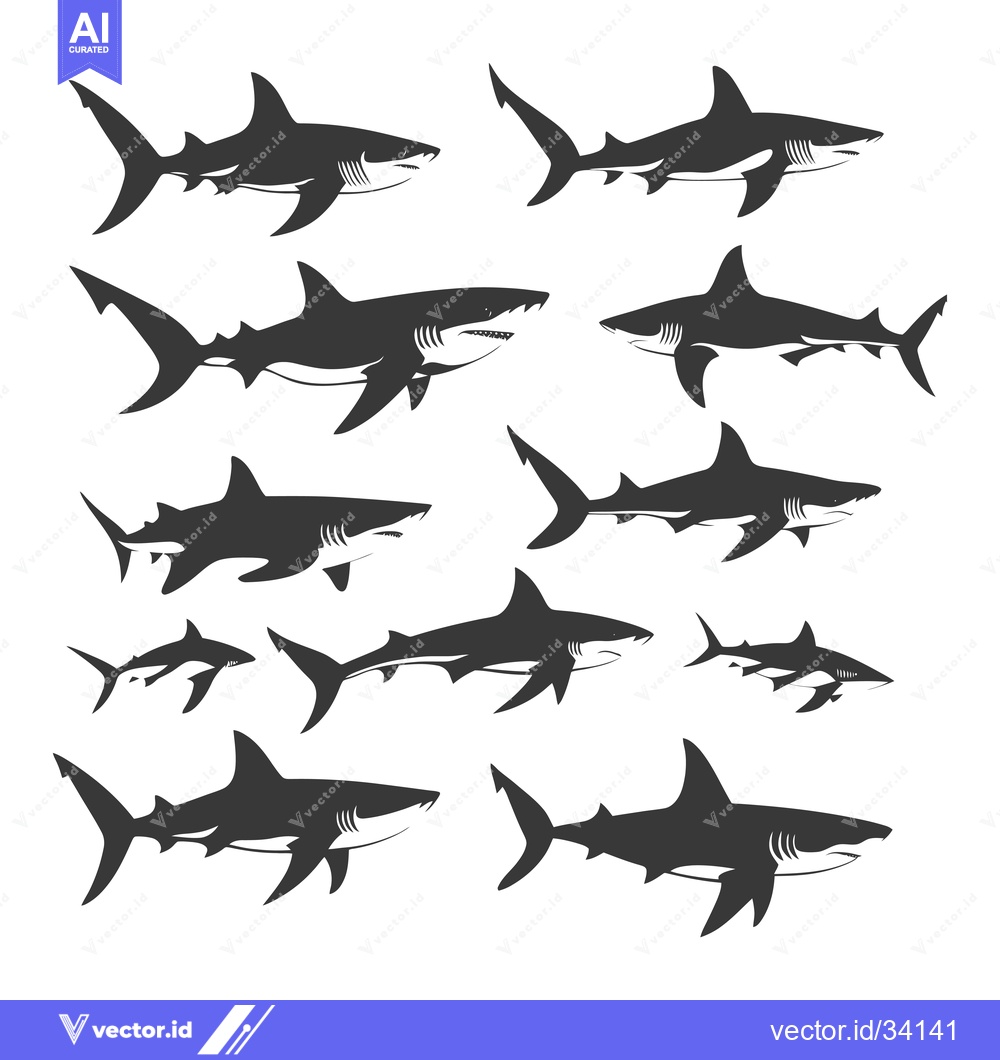 Premium Vector of Collection of Shark Silhouettes in Various Sizes and Poses