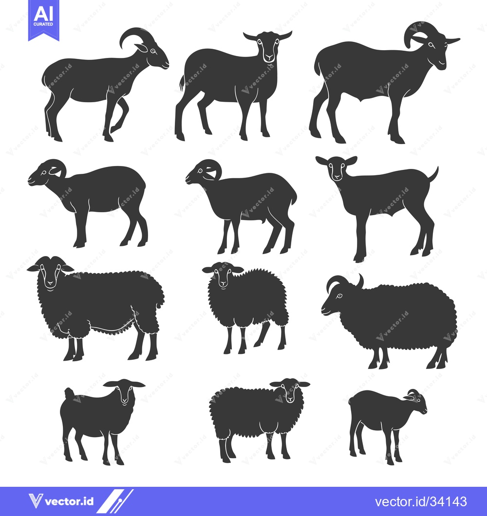 Premium Vector of Collection of Sheep and Goat Silhouettes in Black