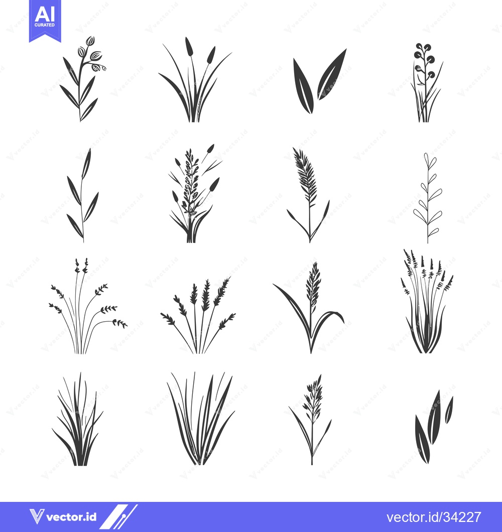 Premium Vector dari Collection of Simple Black and White Grass and Plant Silhouettes