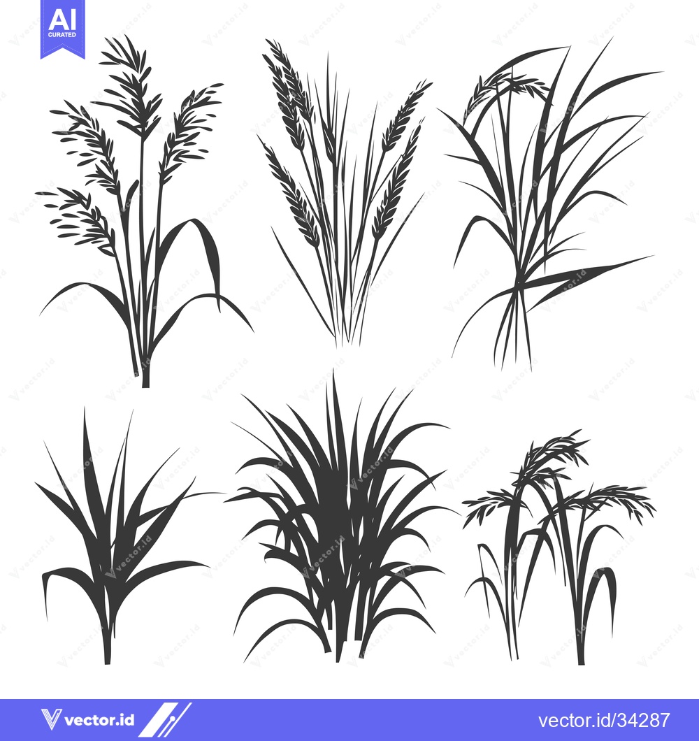 Premium Vector of Collection of Six Black and White Grass Silhouettes