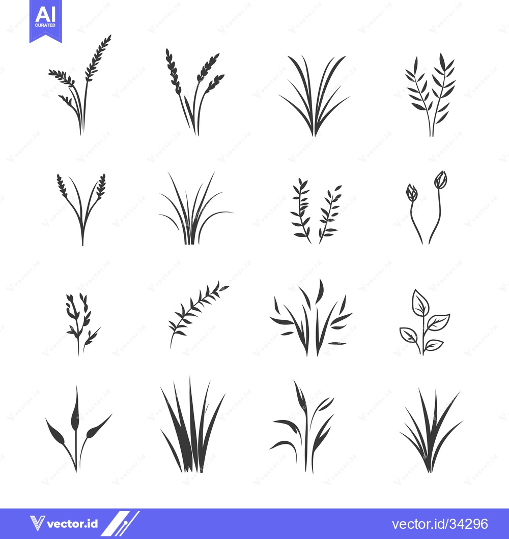 Premium Vector dari Collection of Sixteen Black and White Grass and Leaf Silhouettes
