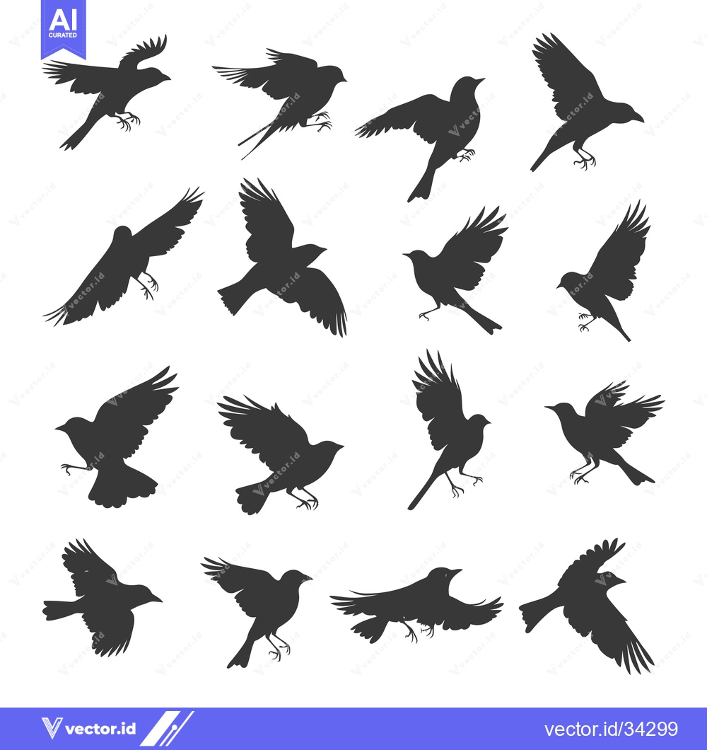 Premium Vector dari Collection of Sixteen Black Bird Silhouettes in Flight