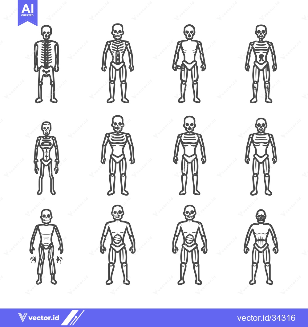 Premium Vector dari Collection of Skeletal Human Icons with Variations in Bone Visibility