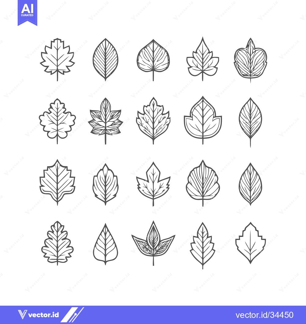Premium Vector of Collection of various detailed leaf illustrations in black and white.