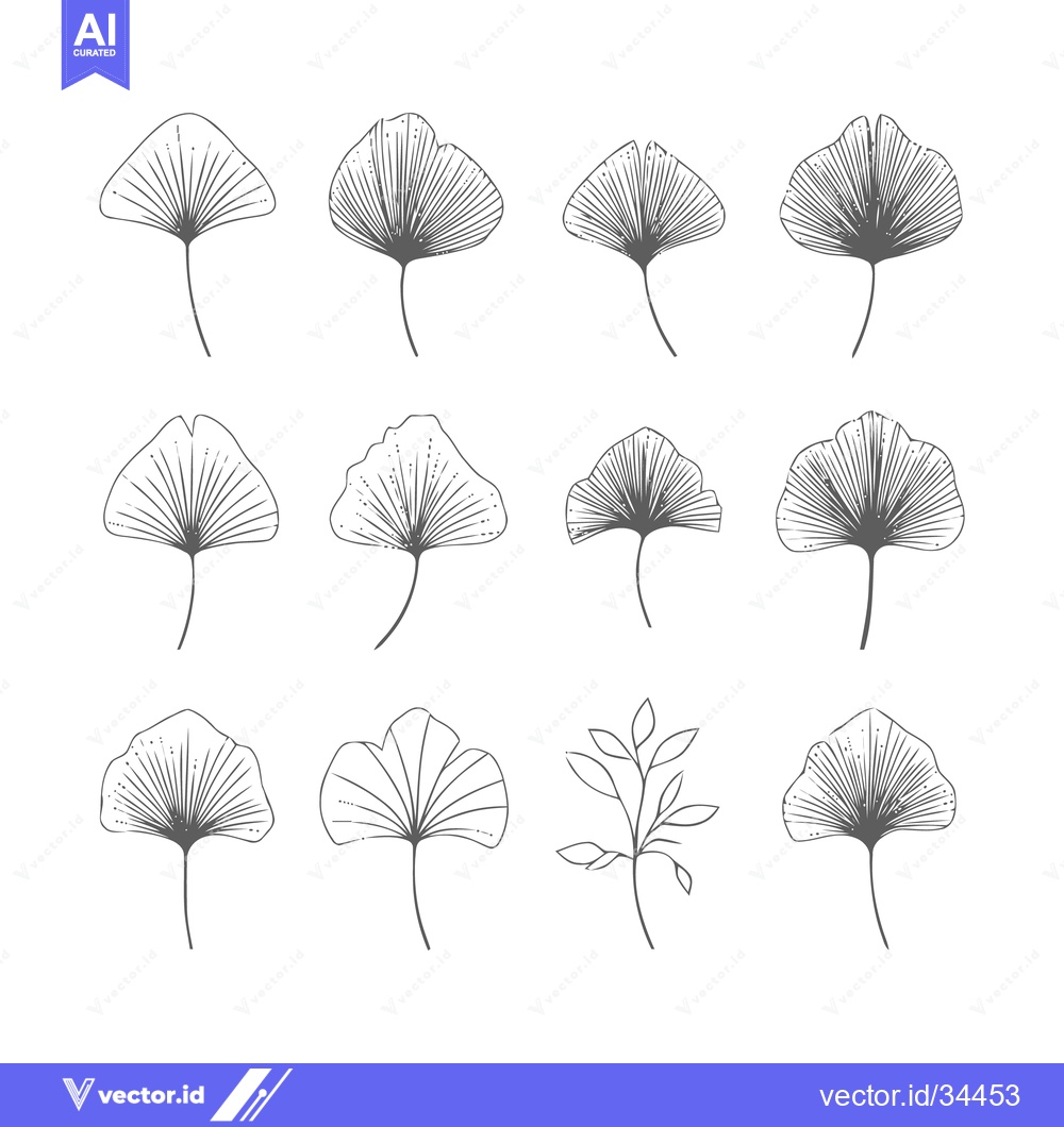 Premium Vector of Elegant Ginkgo Leaf Collection - Botanical Line Art Illustrations.