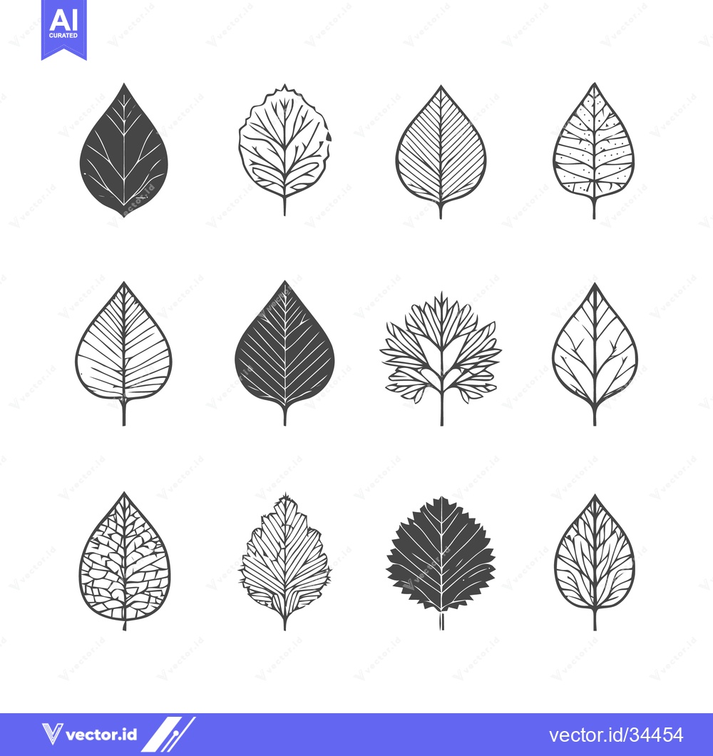 Premium Vector dari Collection of hand-drawn leaf illustrations in various shapes and styl