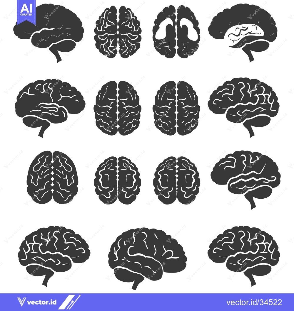 Premium Vector dari Collection of twelve black and white human brain illustrations in diff
