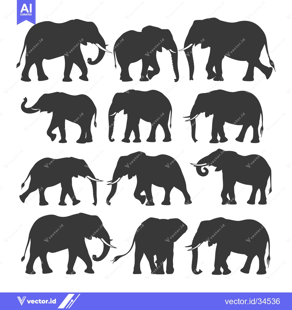 Premium Vector of Collection of Twelve Elephant Silhouettes in Various Poses