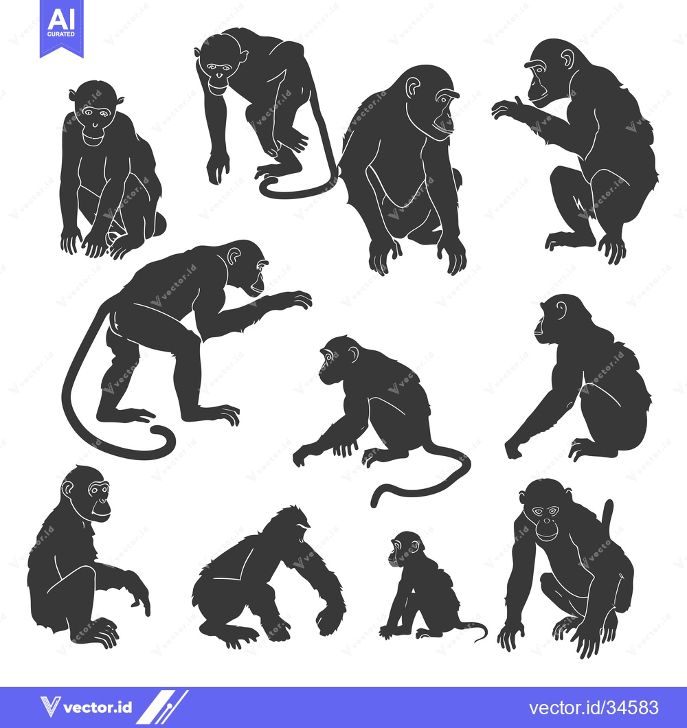 Premium Vector of Collection of Various Monkey Silhouettes in Different Poses