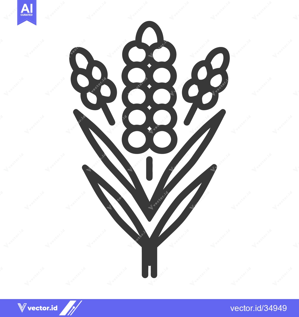 Premium Vector dari Graphic representation of three stalks of wheat or similar grain