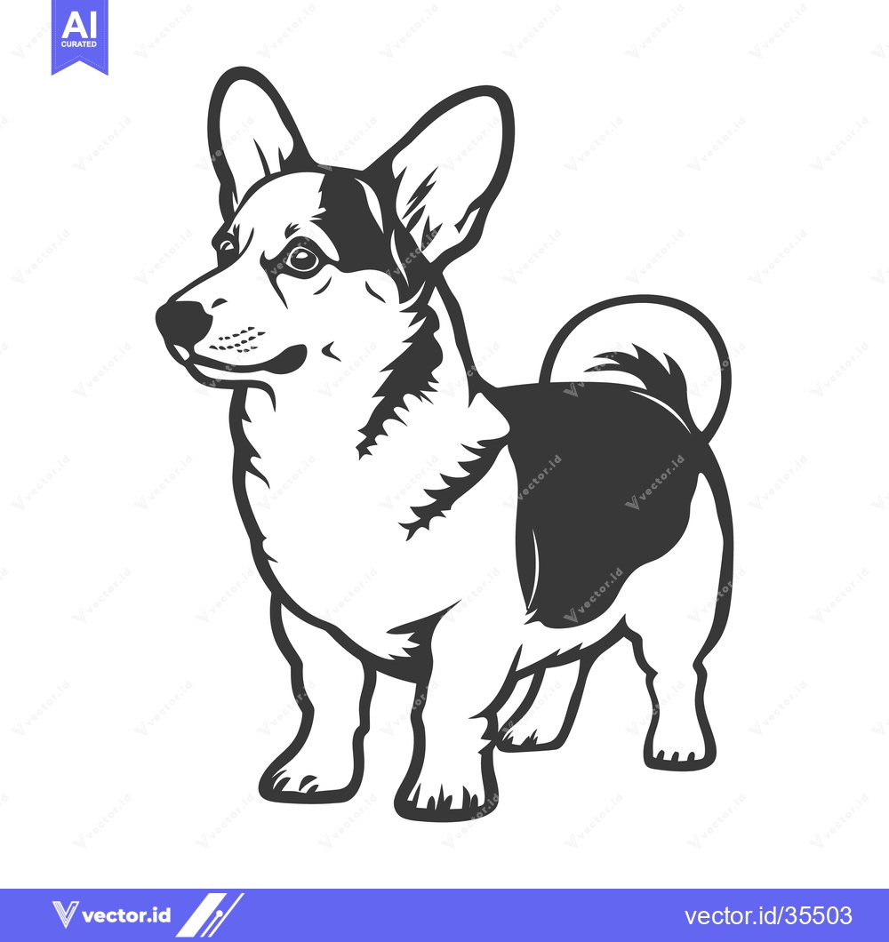 Premium Vector of A black and white illustration depicting a standing corgi dog