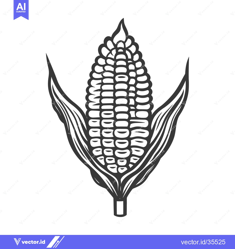 Premium Vector of A detailed black and white illustration of an ear of corn