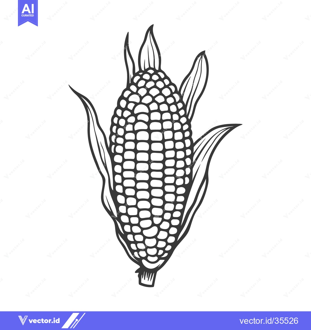 Premium Vector dari An illustrated ear of corn with its leaves depicted