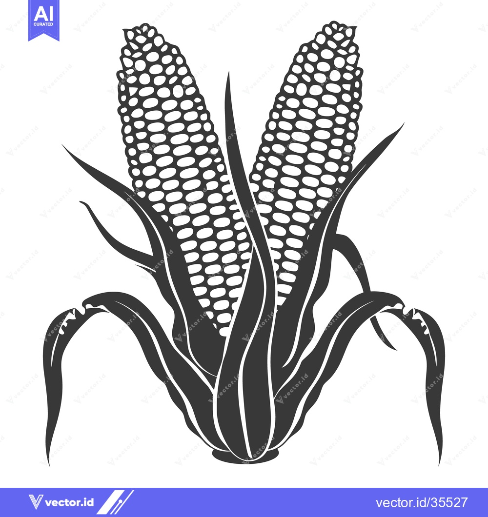 Premium Vector dari A black and white illustration of two corn cobs with leaves