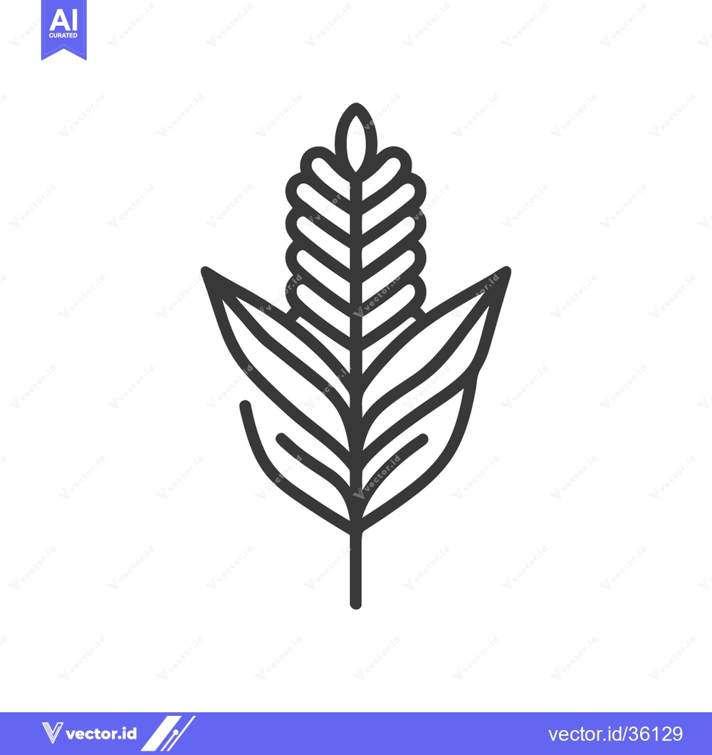 Premium Vector dari Minimalist Line Art: Stylized Corn Stalk with Leaves on White Backgrou