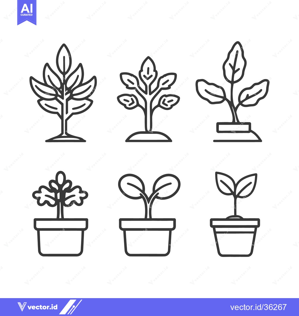 Premium Vector dari Simple linear illustrations depicting various plants and their stages