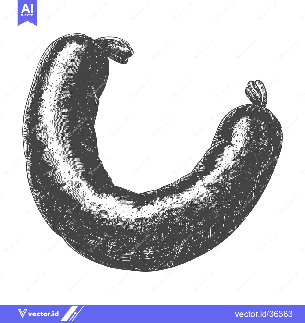 Premium Vector of A single curved sausage illustrated in grayscale
