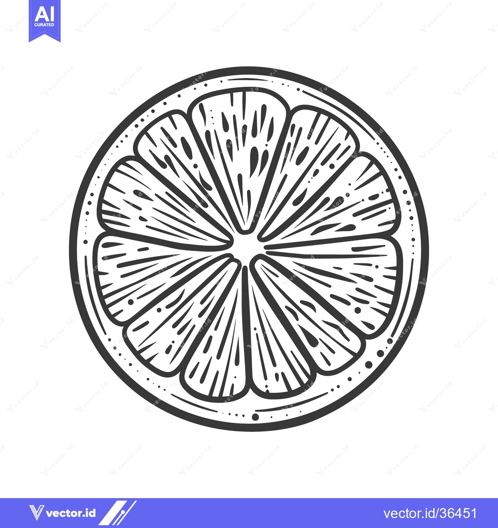 Premium Vector of A black and white line drawing of a citrus slice