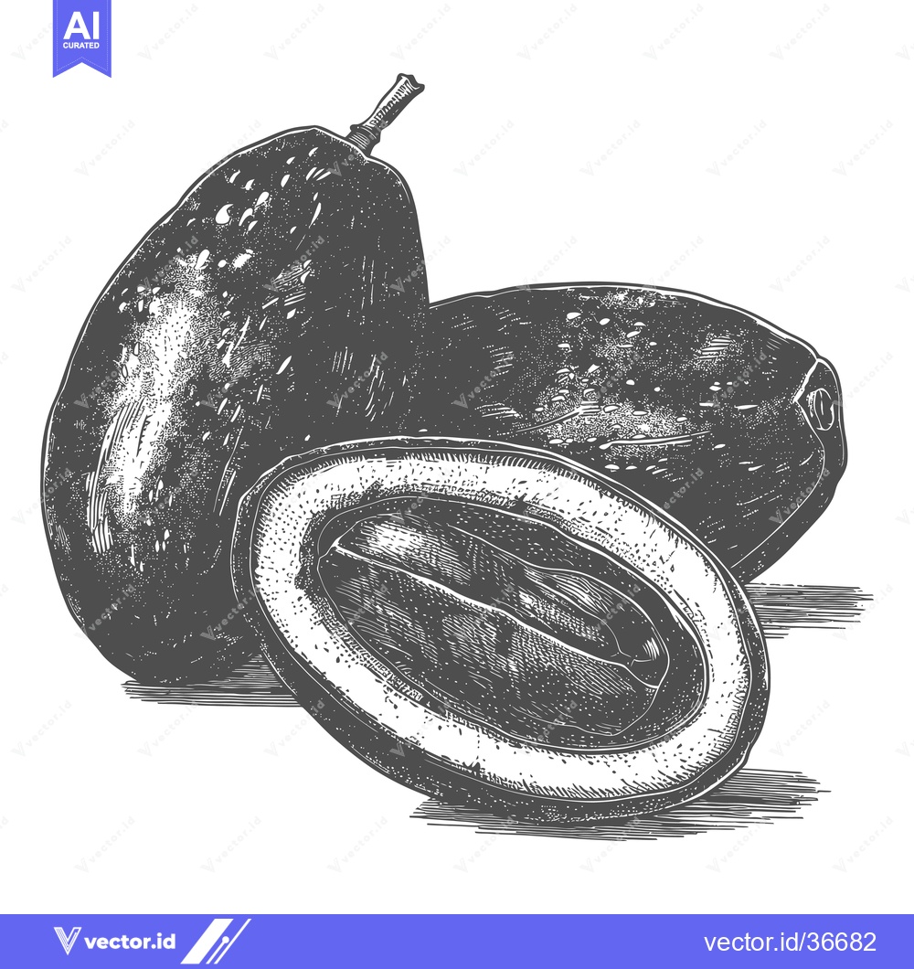 Premium Vector dari A Detailed Illustration of Two Plums One Sliced Open
