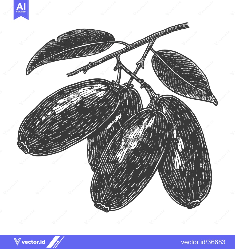 Premium Vector of A Cluster Of Oval Fruits On A Branch With Leaves