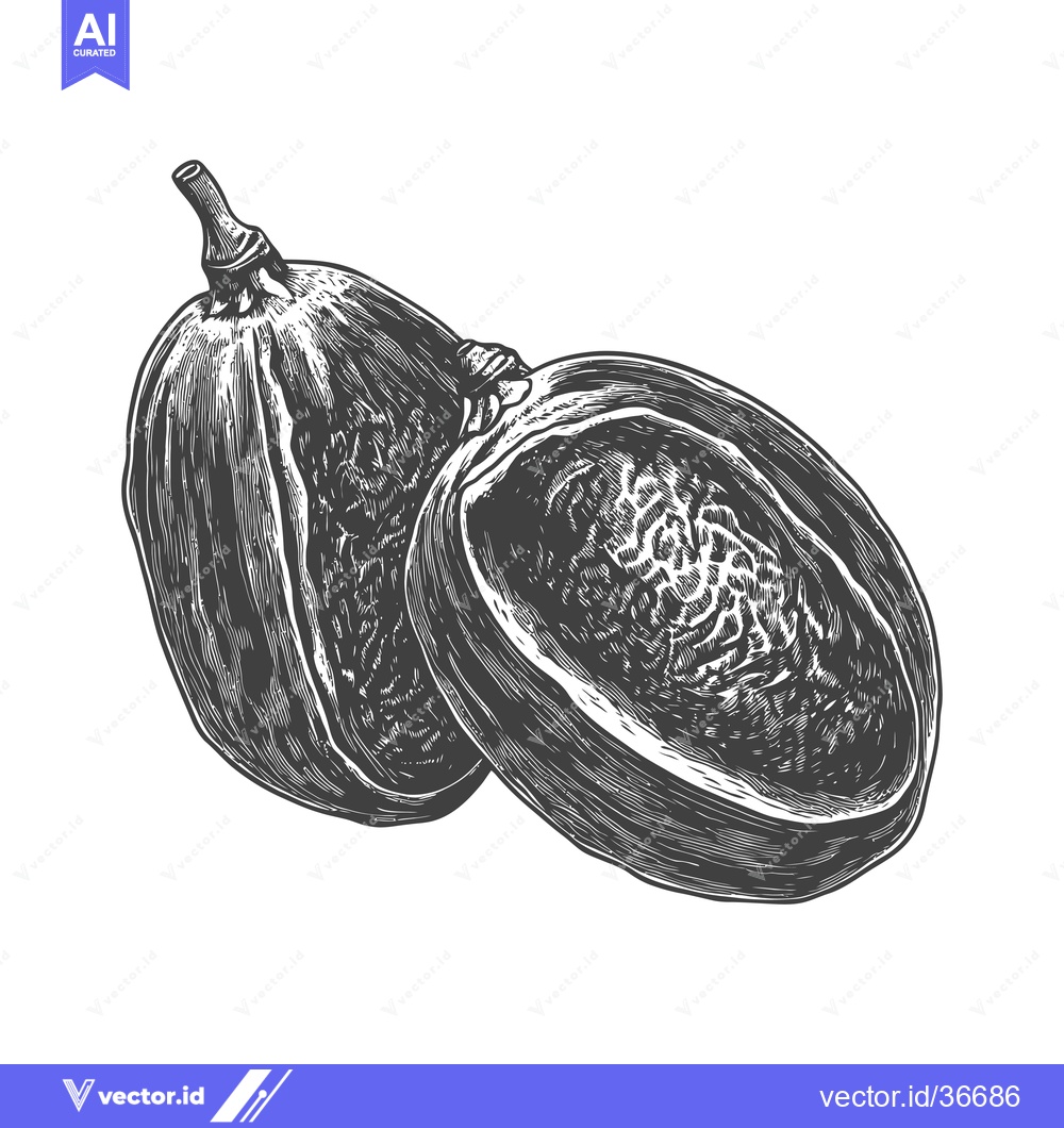 Premium Vector dari Hand Drawn Illustration Of A Passion Fruit