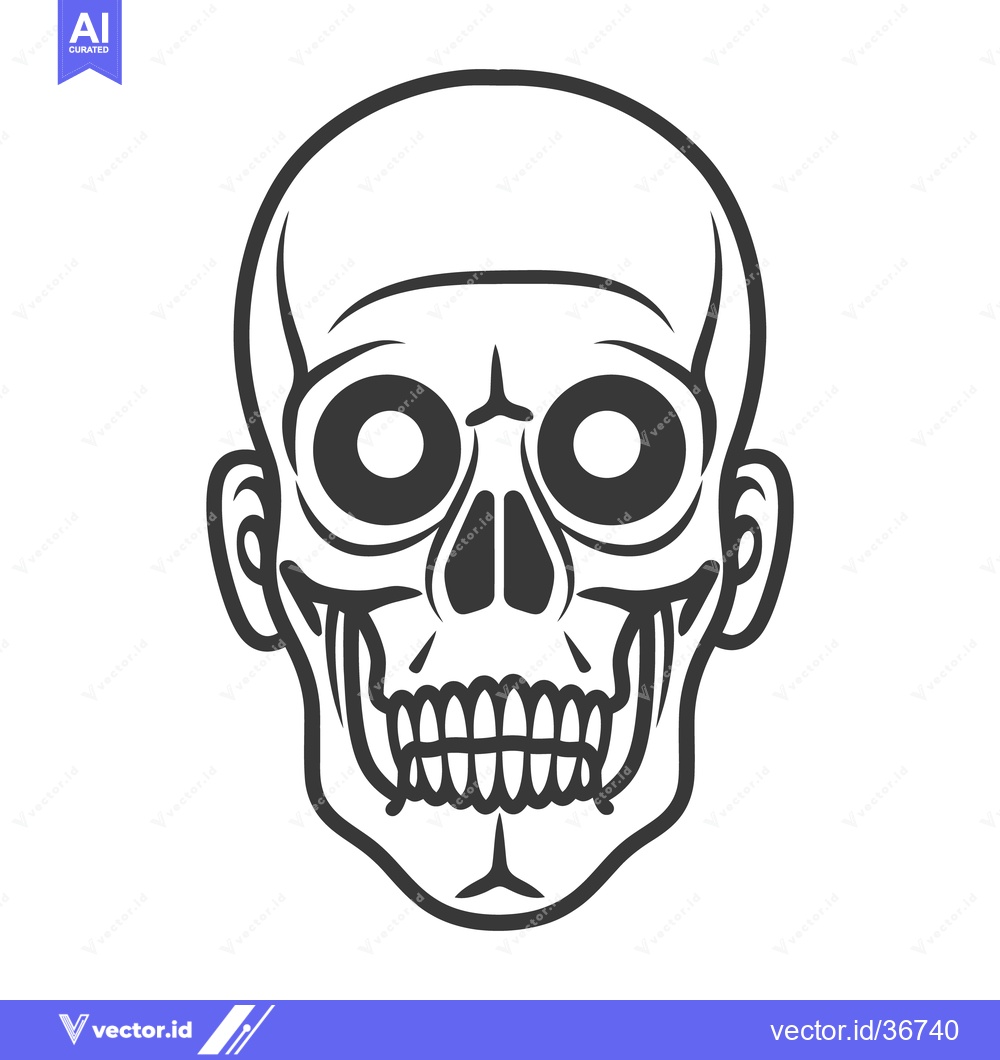 Premium Vector dari A stylized graphic representation of a human skull with detailed featu