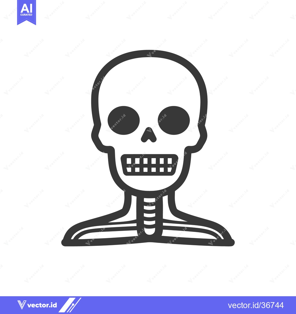 Premium Vector of A simple illustrated depiction of a human skeletal structure