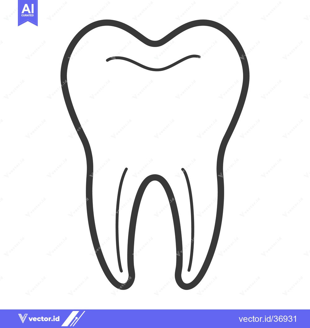 Premium Vector of A simple and elegant illustration of a human molar tooth