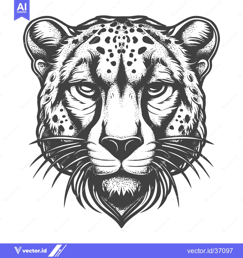 Premium Vector dari Detailed Black and White Illustration of a Cheetah's Head
