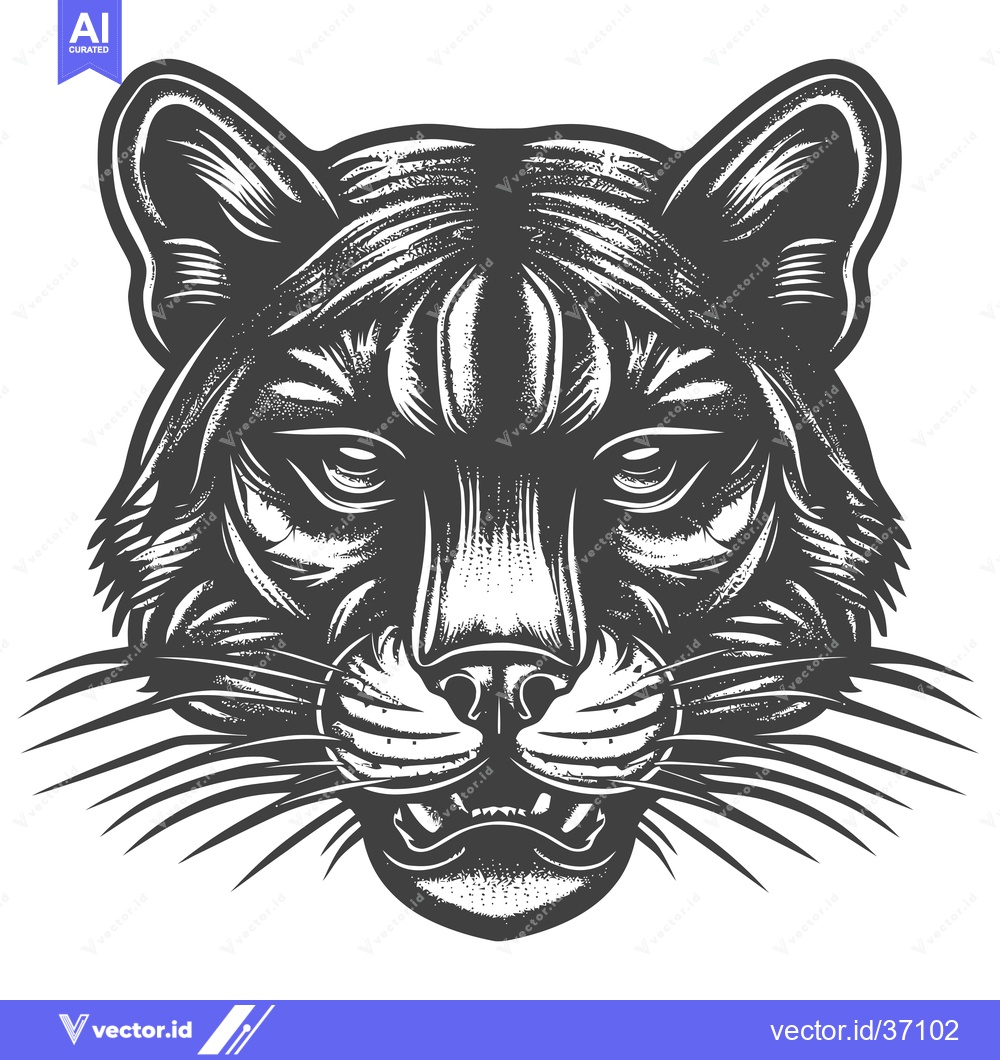 Premium Vector of Detailed Black and White Illustration of a Cougar's Face