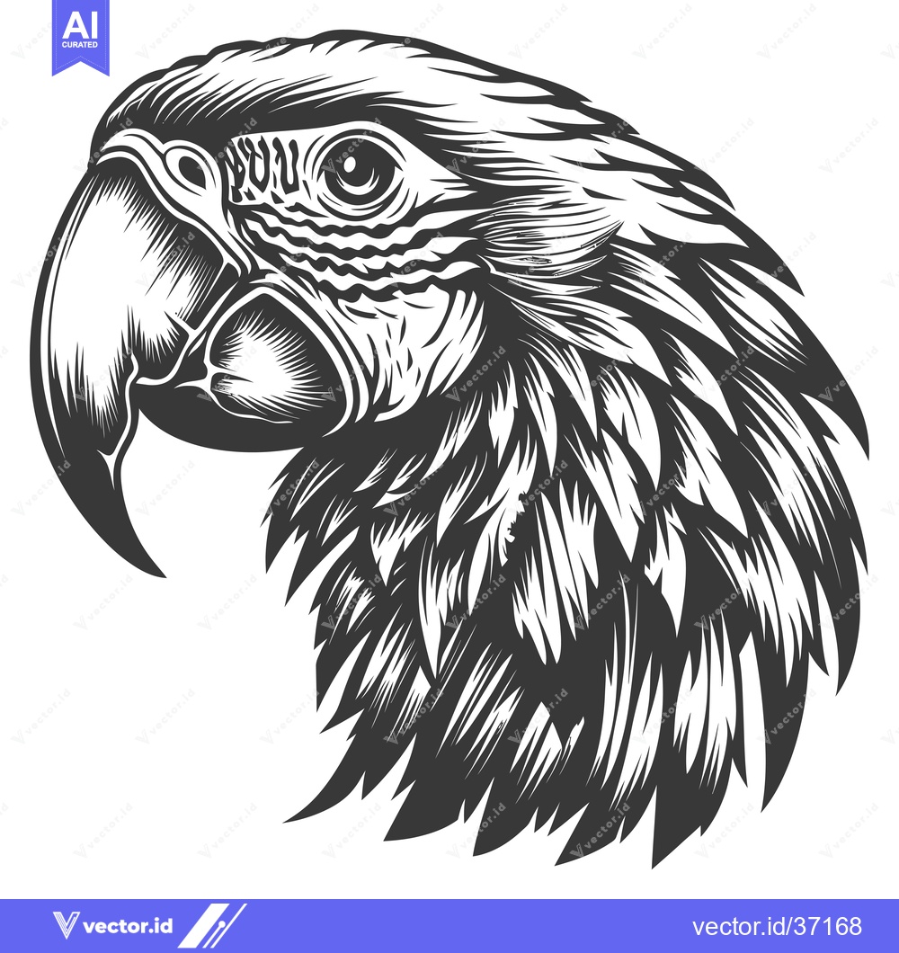 Premium Vector of Detailed Black and White Illustration of a Macaw's Head