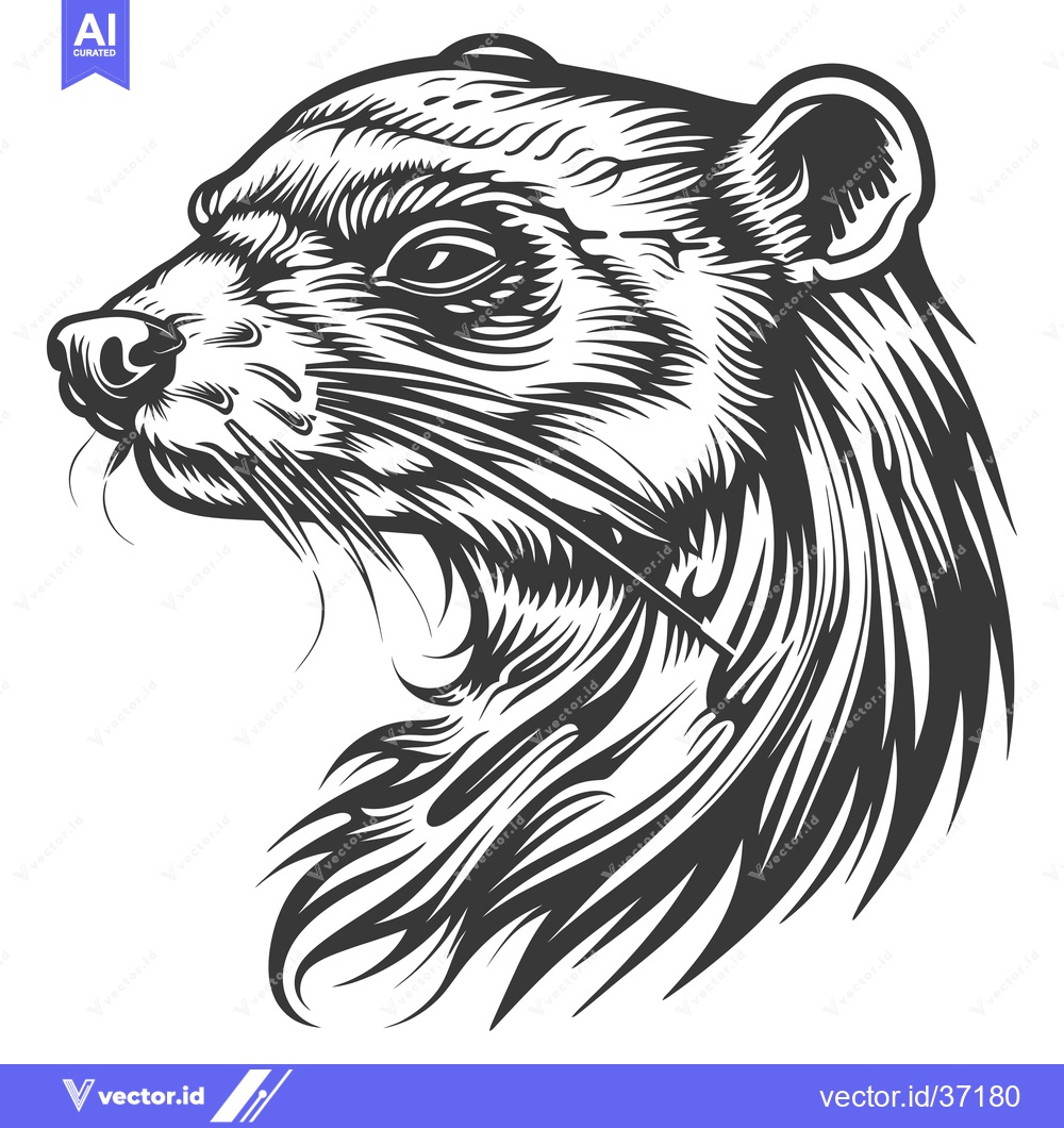 Premium Vector dari Detailed Black and White Illustration of a  Mongoose's Head in Profile
