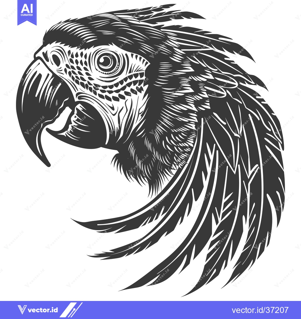 Premium Vector of Detailed Black and White Illustration of a Parrot's Head and Feathers