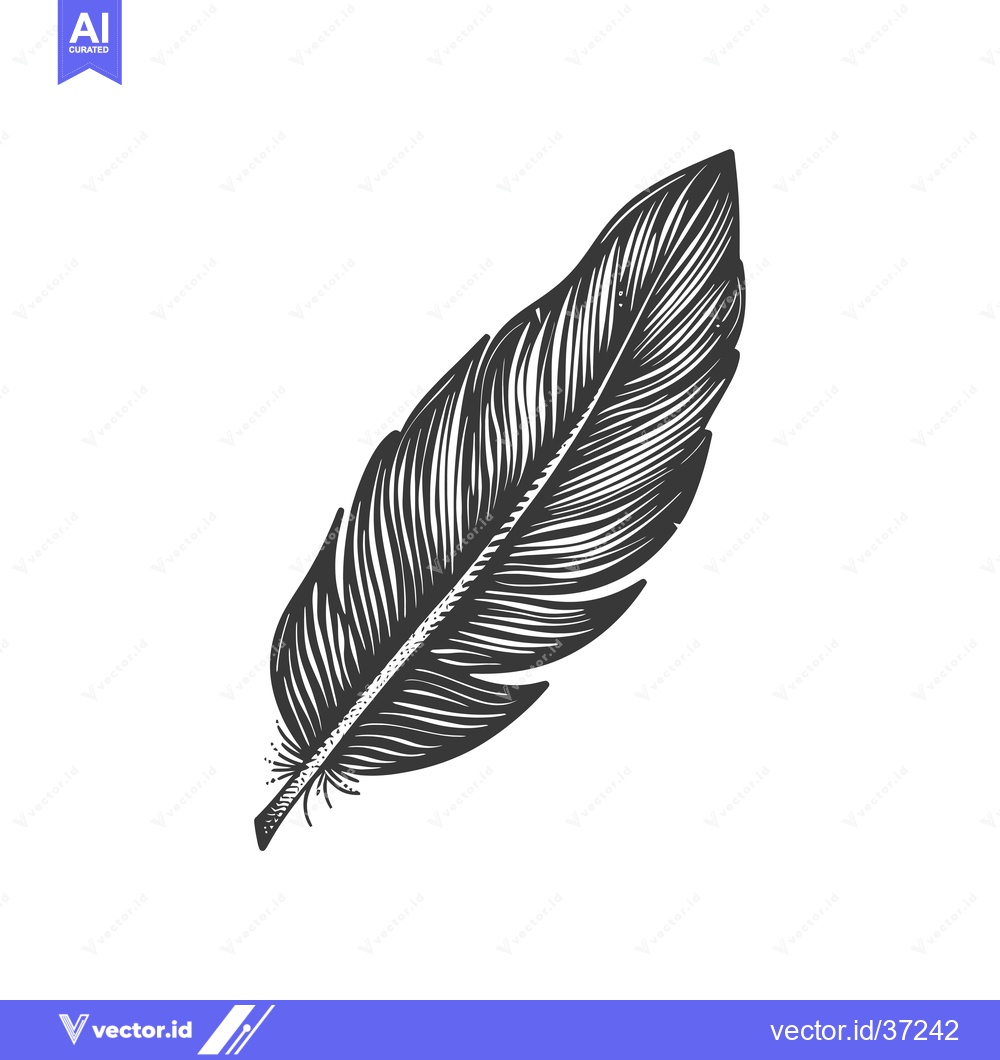 Premium Vector dari Detailed Black and White Illustration of a Single Feather